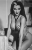 lily munster.png