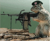 Squirrel machine gun ani..gif