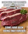 Cows to meat.jpg