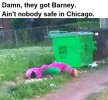 Nobody is safe in Chicago.jpg