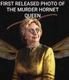 Murder Hornet - The Queen.jpeg