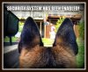 dog security system.jpg