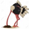 ostrich-has-buried-a-head-in-land.jpg