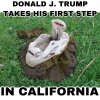 FB_IMG_1568937217238 Trump in California.jpg