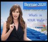 Sanders-whats in your wallet.jpg