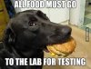 Dog all-food-must-go-to-the-lab-for-testing.jpg